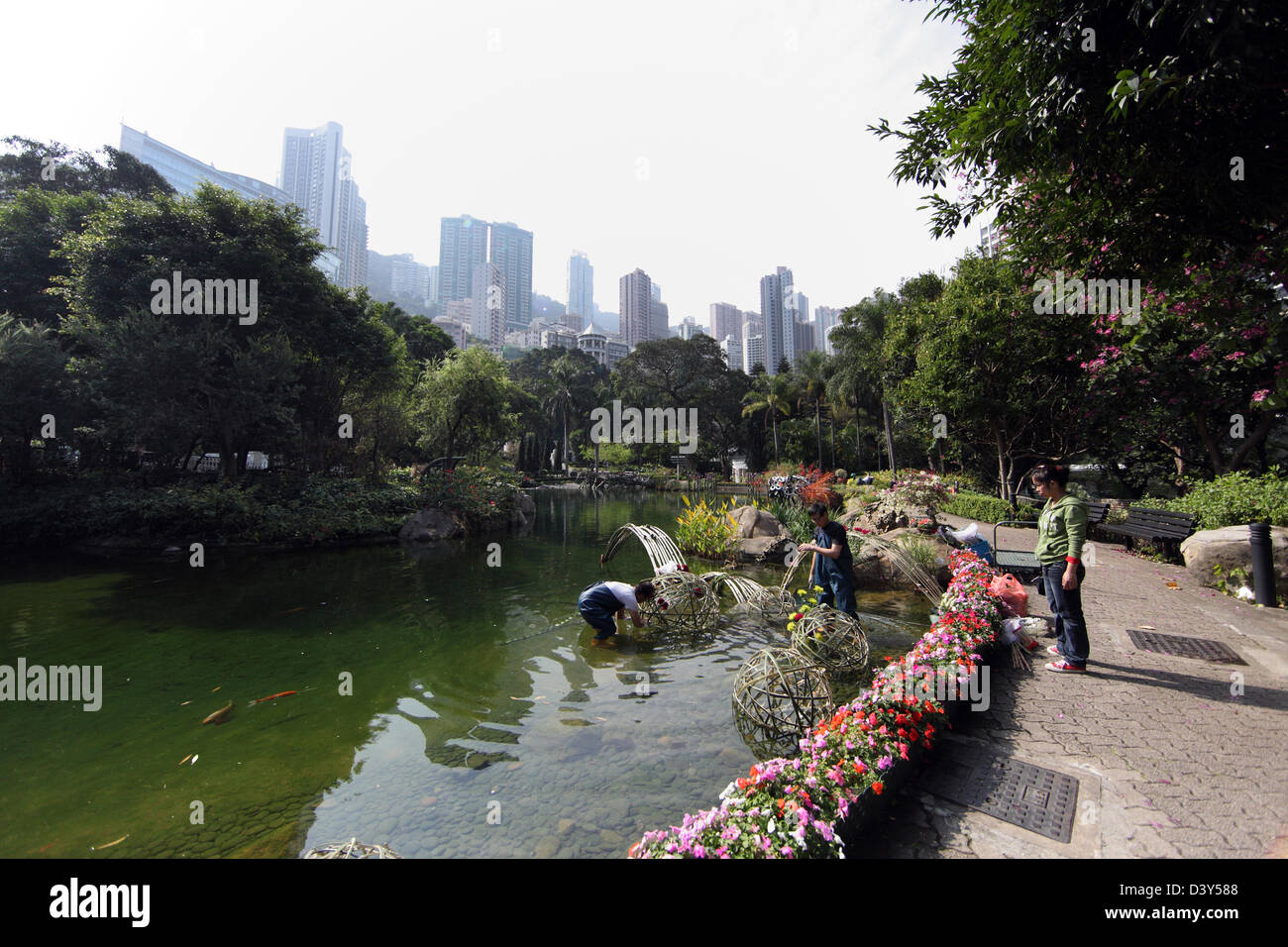 Hong Kong, Cina, paesaggio giardiniere di abbellire un laghetto Foto Stock