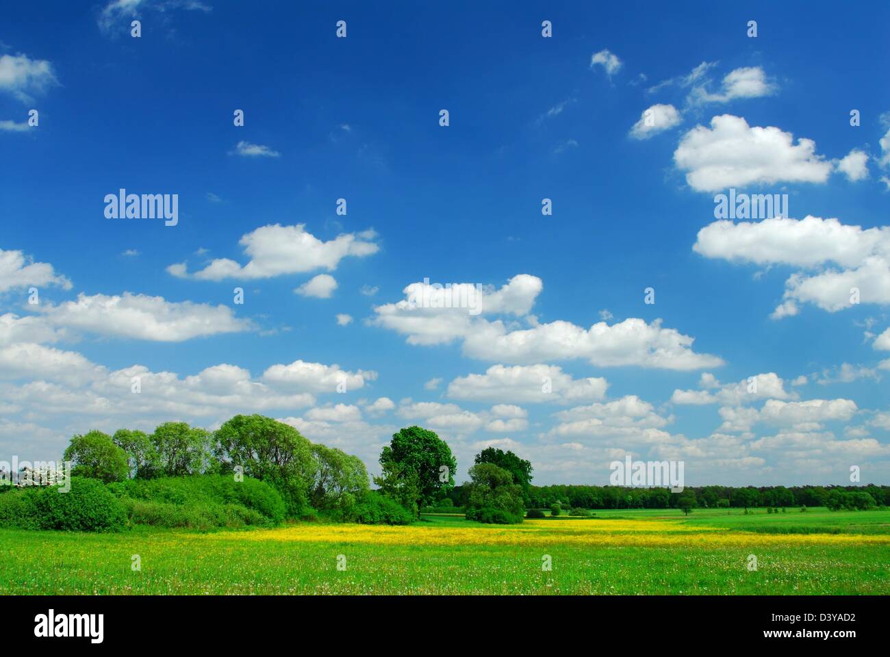 Paesaggio di primavera Foto Stock