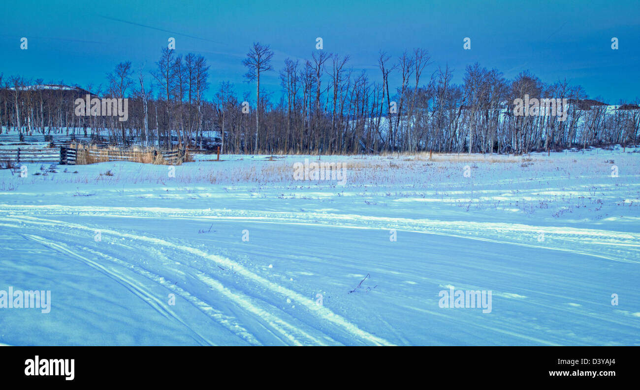 L'ultimo dollaro Ranch in inverno con una vista di Dallas dividere sul retro. Foto Stock