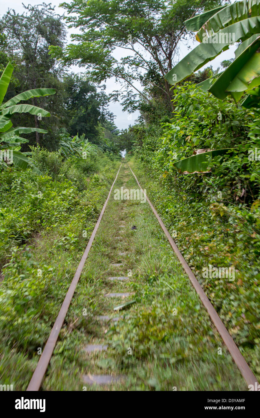 Treno di bambù, Battambang, Cambogia Foto Stock