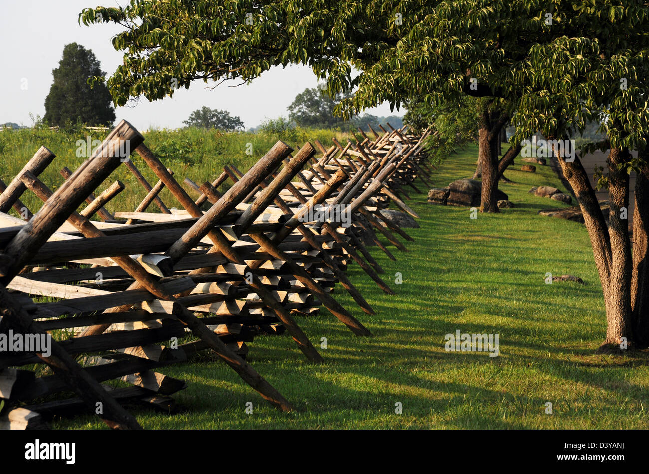Campo di battaglia alberi split linea cancellata Gettysburg in Pennsylvania, guerra civile del campo di battaglia di Gettysburg, Pennsylvania, guerra civile Foto Stock
