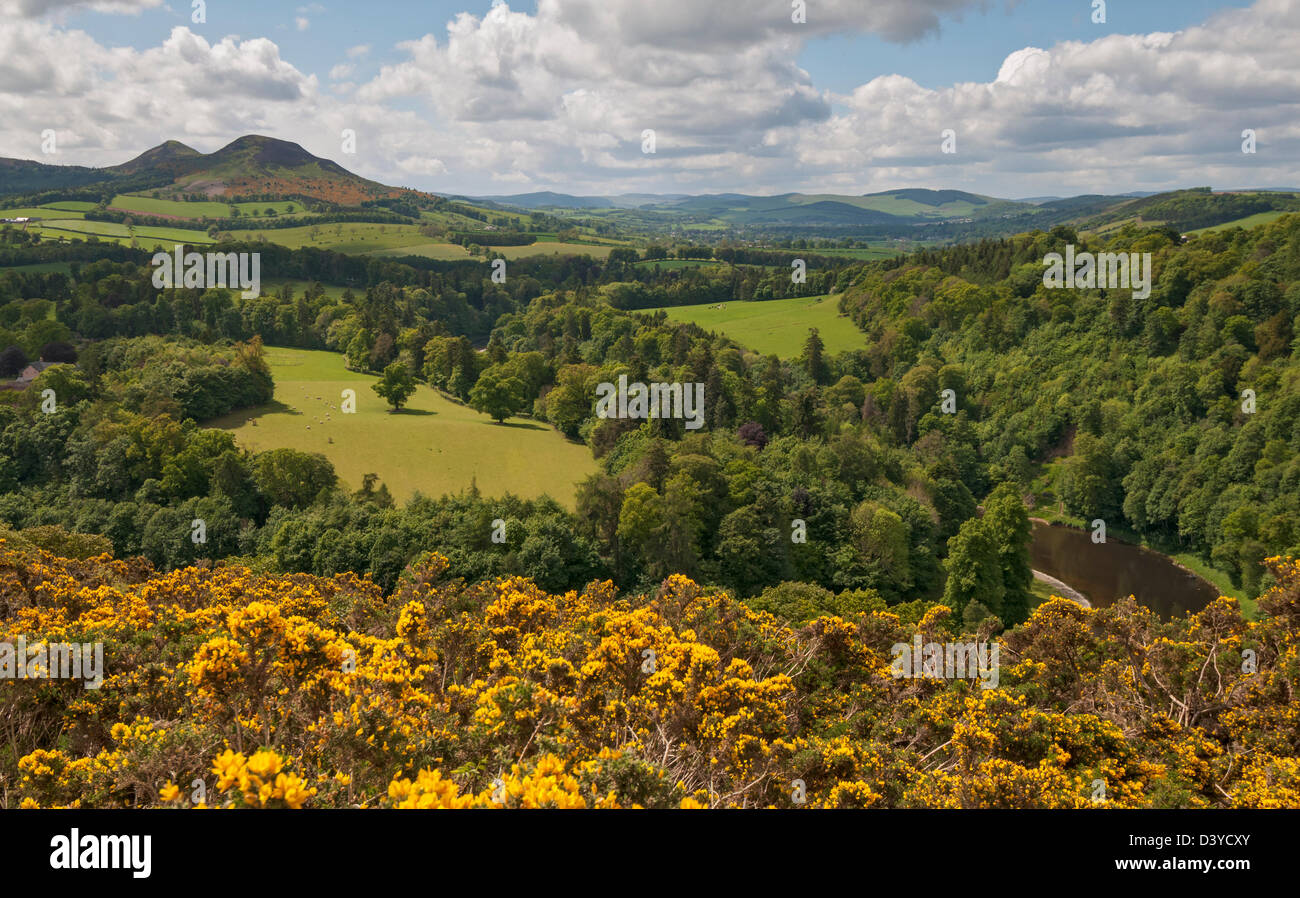 La Scozia, Scottish Borders, Scott è del parere che la visualizzazione preferita di Sir Walter Scott al di sopra del Tweed River Valley Foto Stock