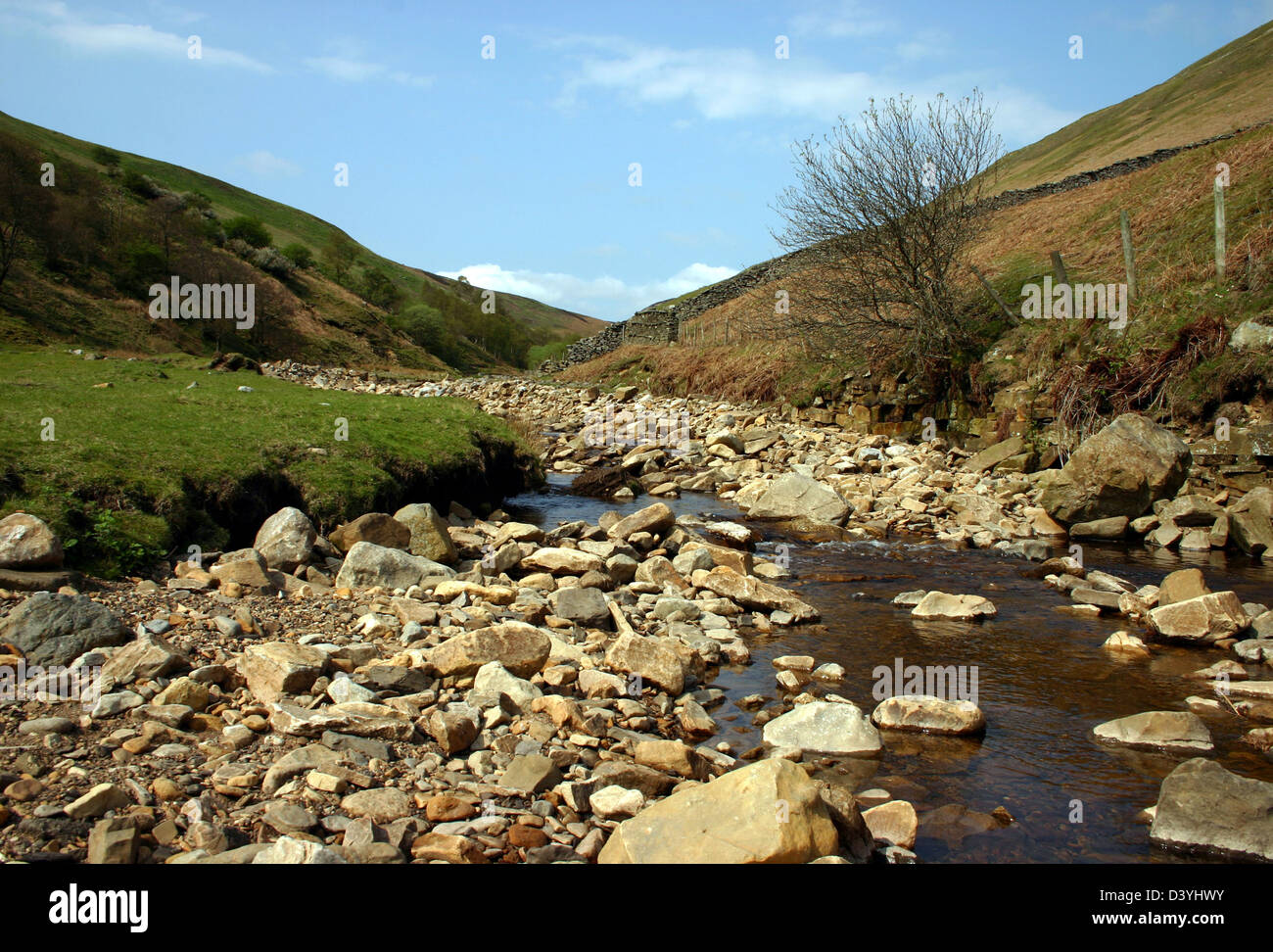 Gunnerside Beck nel North Yorkshire in primavera Foto Stock