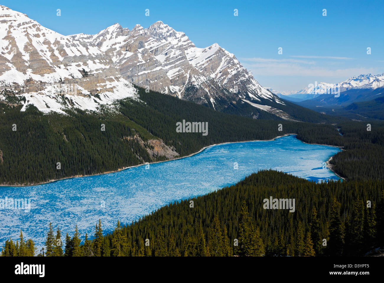 Mt. Patterson che domina il Lago Peyto e la valle di Mistaya Foto Stock