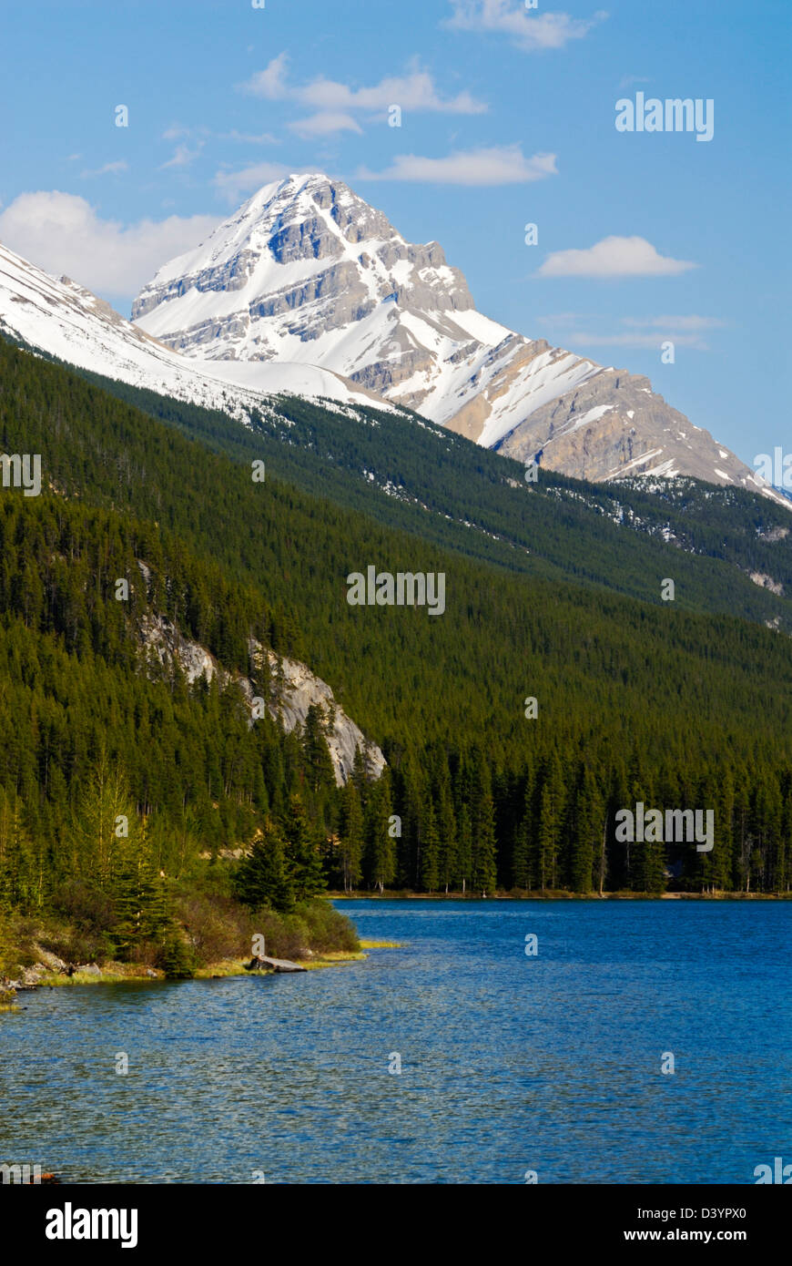 Mt. Weed svettante su basso Lago di uccelli acquatici Foto Stock