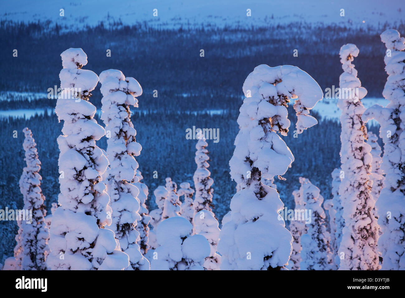 Paesaggio in Lapponia, Yllas, Finlandia. Foto Stock