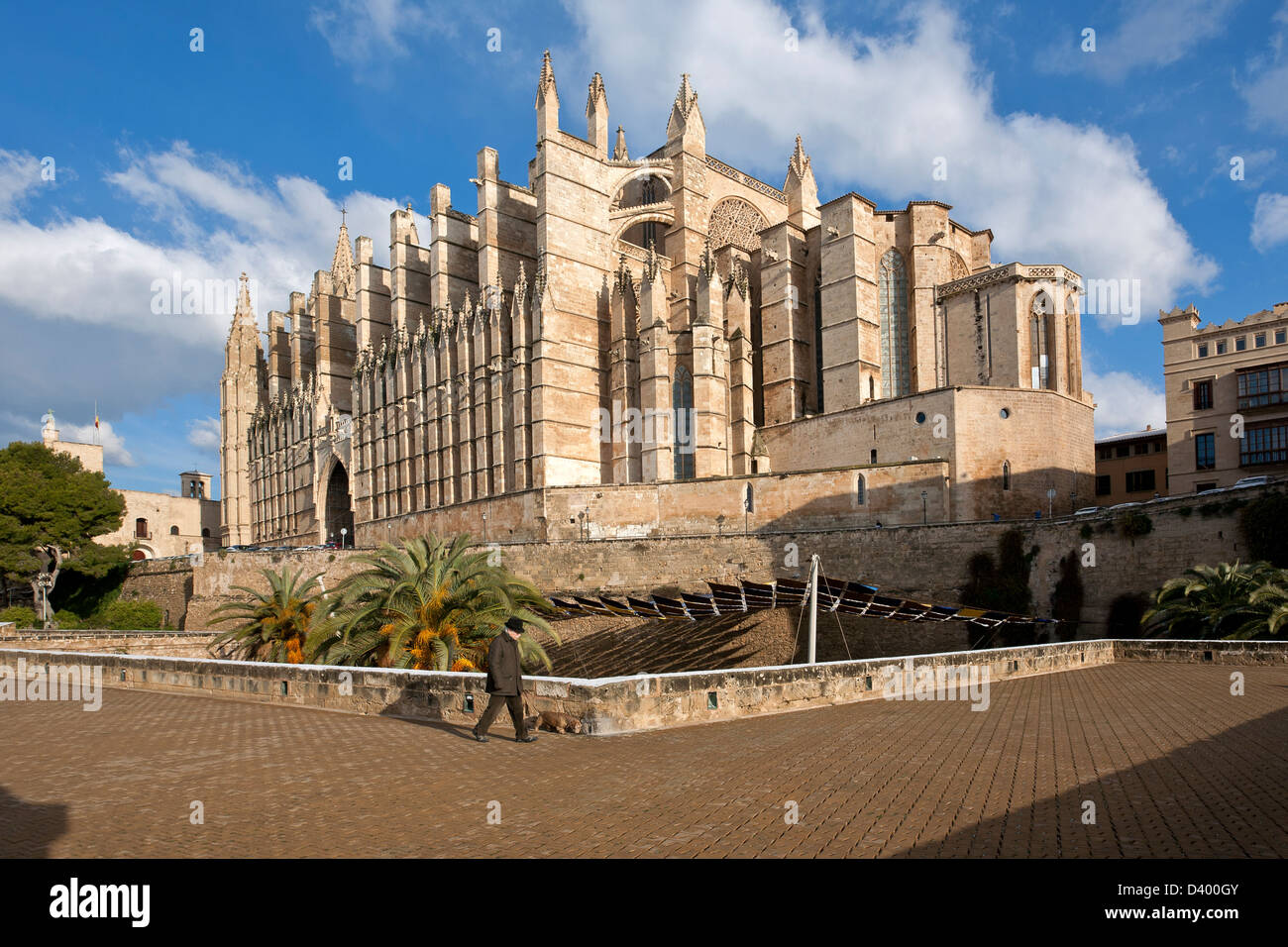 Cattedrale. Palma de Mallorca. Isole Baleari. Spagna Foto Stock