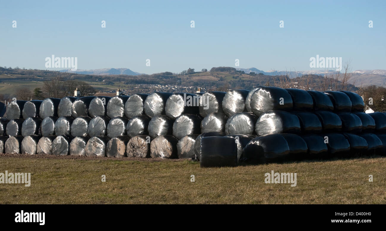 Balle di fieno Foto Stock