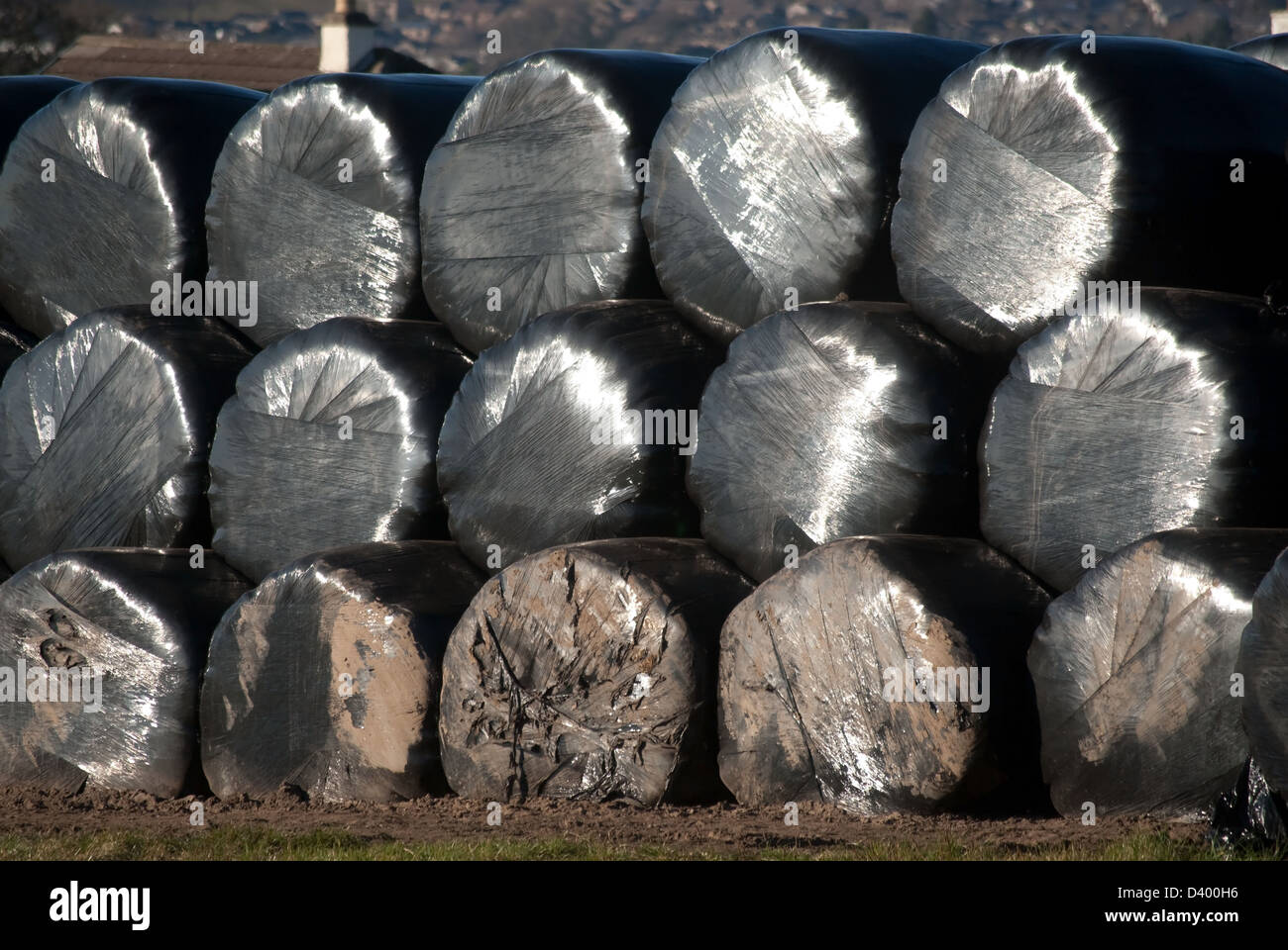Balle di fieno Foto Stock