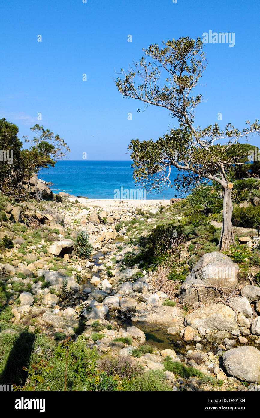 Italia Toscana Isola di Montecristo torrent Parco Nazionale Arcipelago Toscano Foto Stock