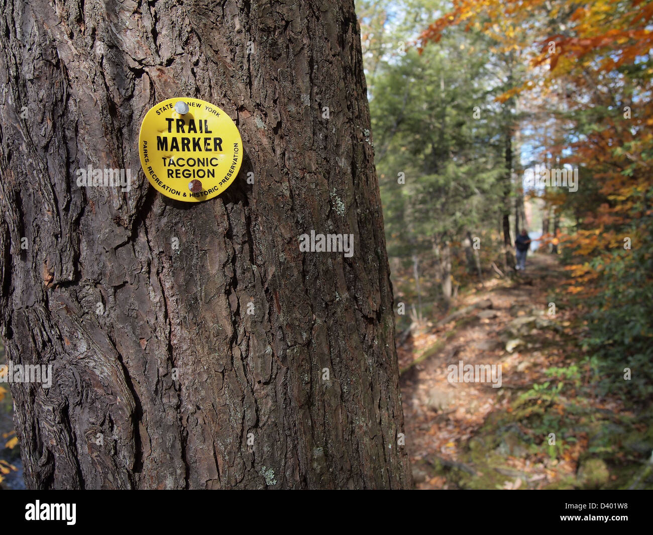 Segnavia inchiodato alla struttura ad albero e escursionista sul sentiero in Fahnestock State Park, New York, Stati Uniti d'America, 21 ottobre 2012, © Katharine Andriotis Foto Stock