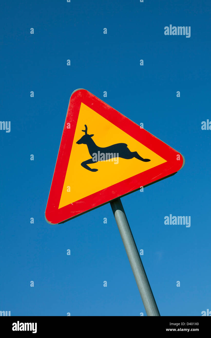 Traffico segno di avvertimento contro il cielo blu per cervi e altri animali selvatici attraversando la strada Foto Stock