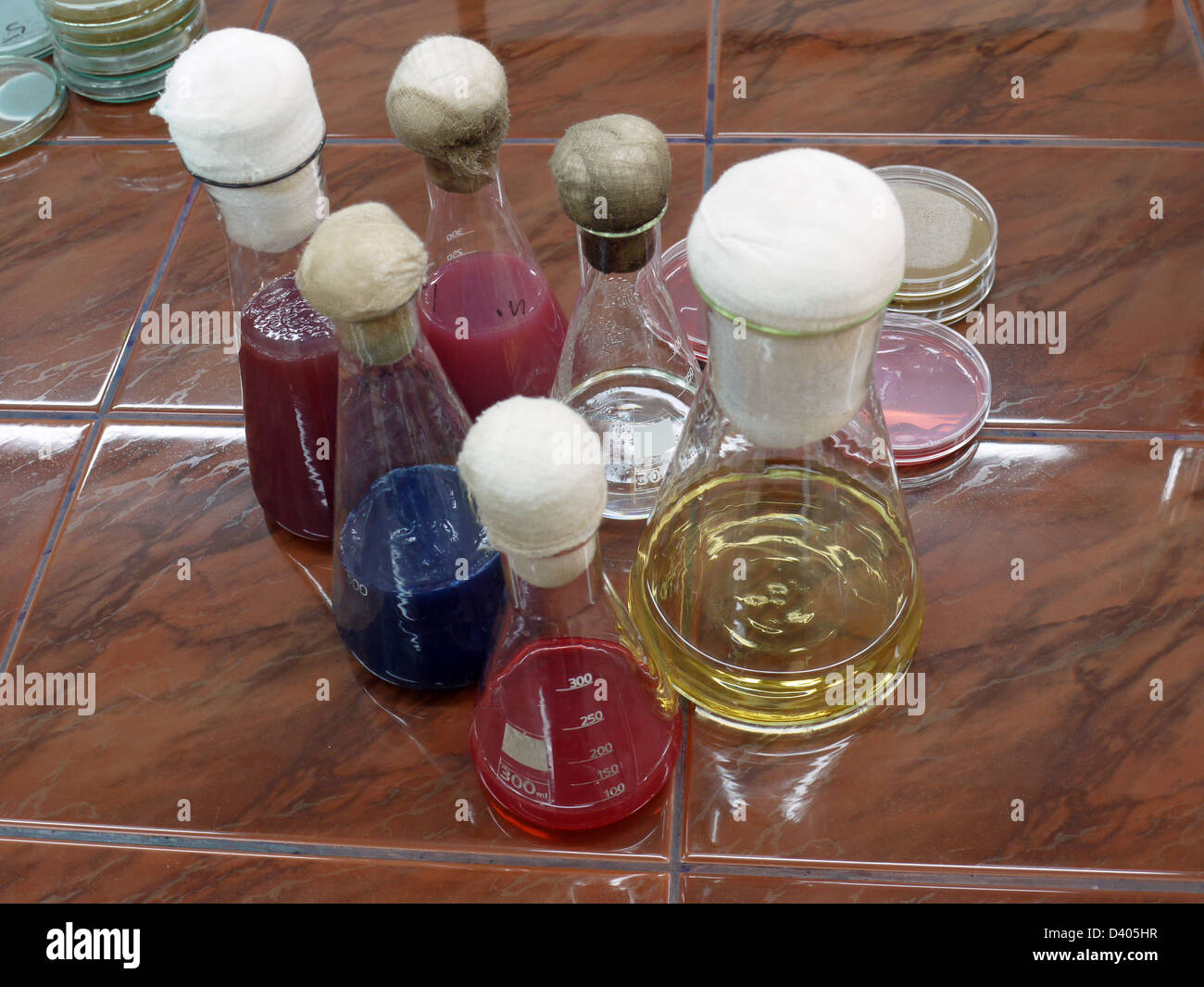 Gruppo di palloni da laboratorio con colorati delle sostanze chimiche Foto Stock