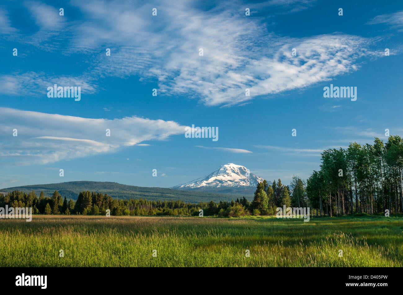 Il Monte Adams da Conboy Lake National Wildlife Refuge, Washington. Foto Stock