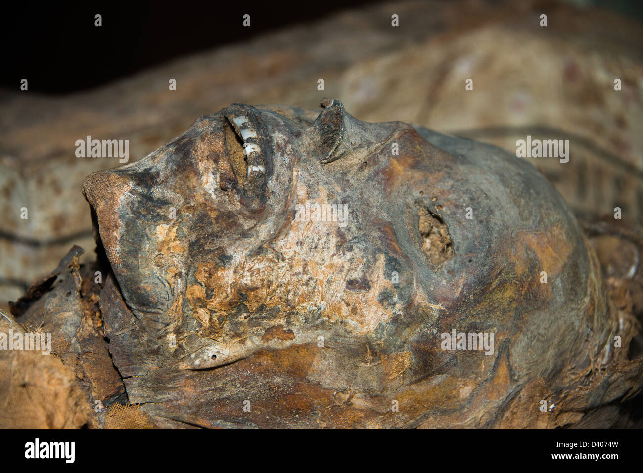 Mummia egiziana sul display presso il Royal Ontario Museum Foto Stock