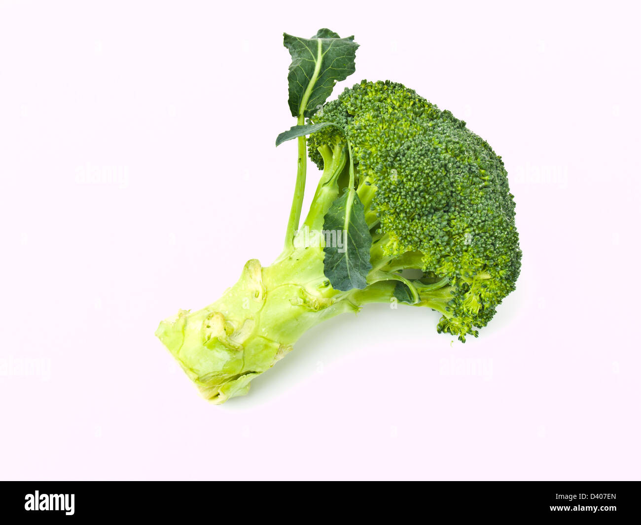 Broccoli freschi, Brassica oleracea var. italica, isolati su sfondo bianco Foto Stock