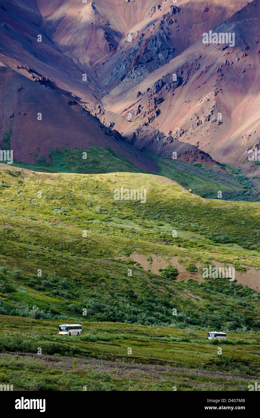 Gli autobus navetta su visitatori il limitato accesso Denali Park Road, Parco Nazionale di Denali, Alaska, STATI UNITI D'AMERICA Foto Stock