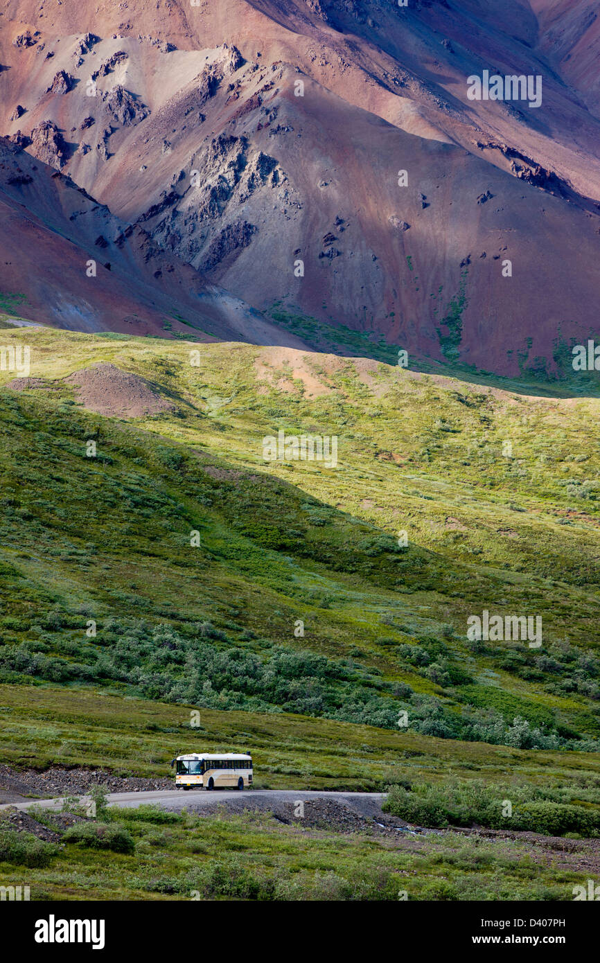 Gli autobus navetta su visitatori il limitato accesso Denali Park Road, Parco Nazionale di Denali, Alaska, STATI UNITI D'AMERICA Foto Stock