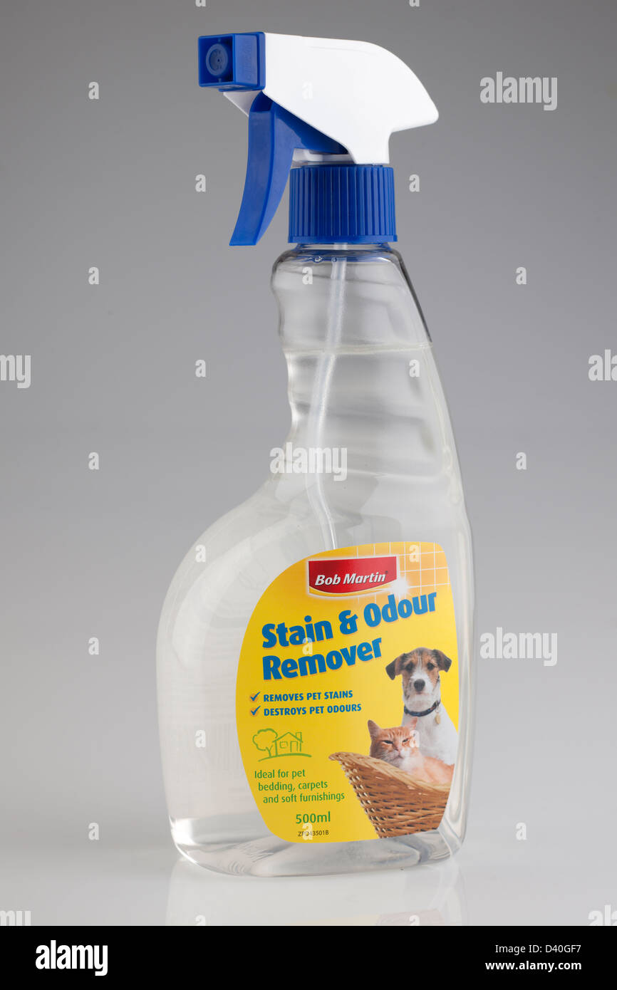 Chiaro spray contenitore in plastica di Bob Martins macchia di pet e odore remover Foto Stock