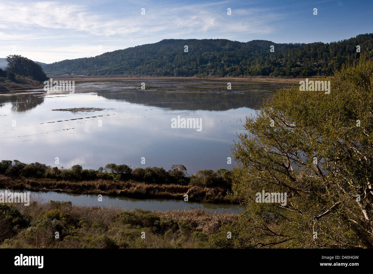 Tomales bay riserva ecologica - invaso parte del San Andreas anomalia, Point Reyes Station, CALIFORNIA, STATI UNITI D'AMERICA Foto Stock