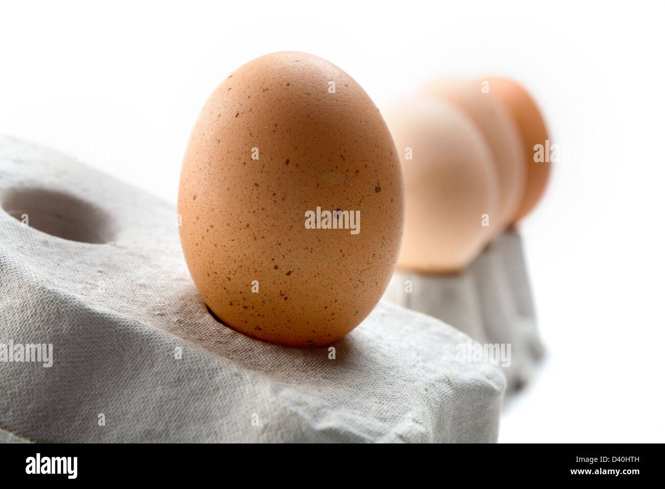 Fila di uova di galline di varie tonalità/colori bilanciati su grigio scatole di uova contro uno sfondo bianco Foto Stock