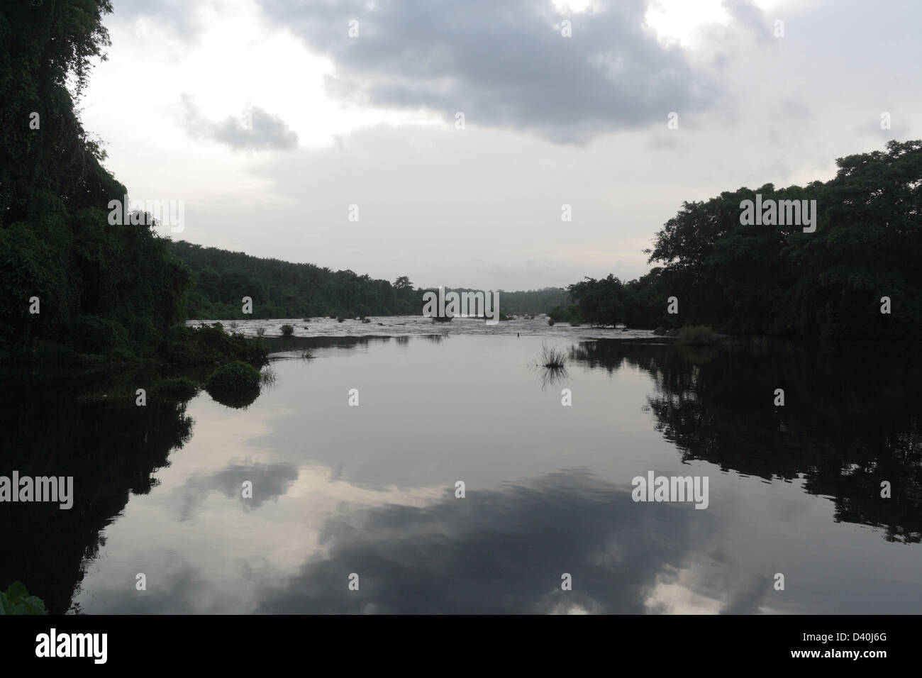 Vazhachal, foreste, Kerala, India Foto Stock