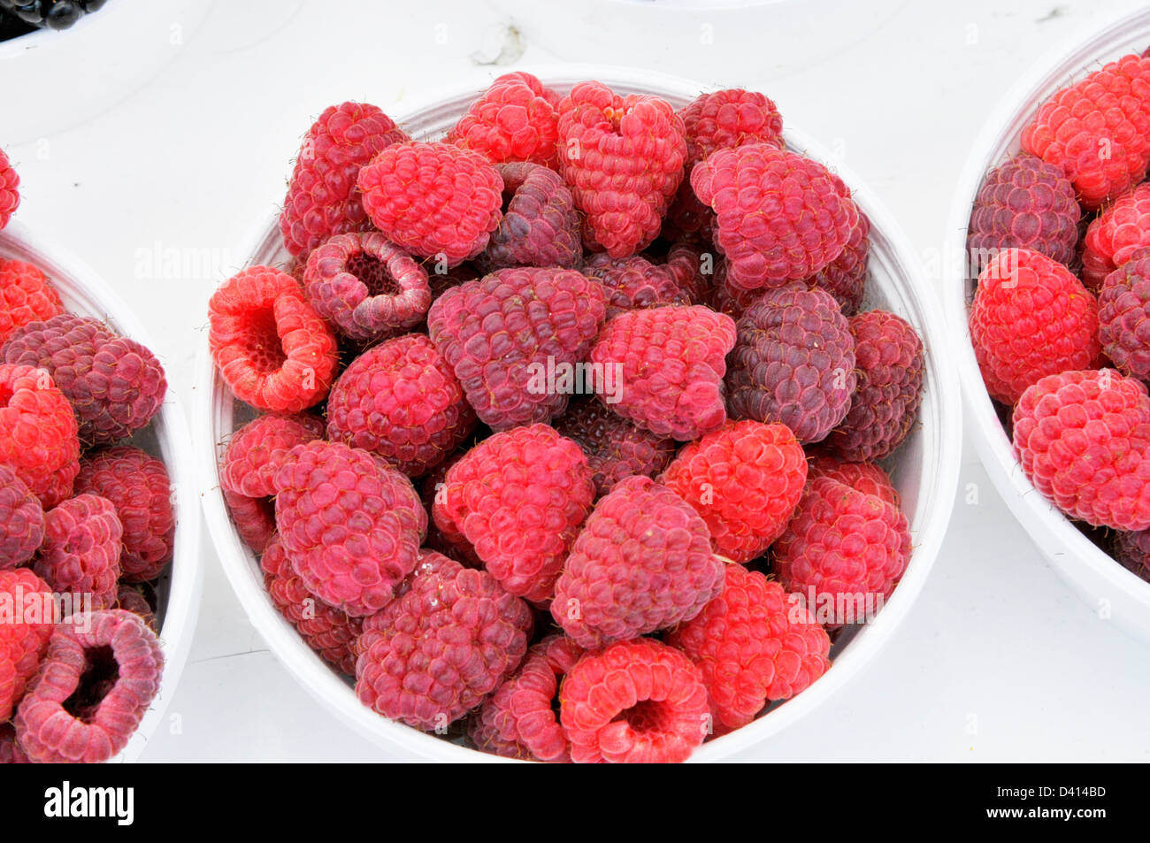 Mercato Bayward Shopping mercato contadino distretto centro cittadino di Ottawa Ontario Canada Capitale Nazionale Foto Stock