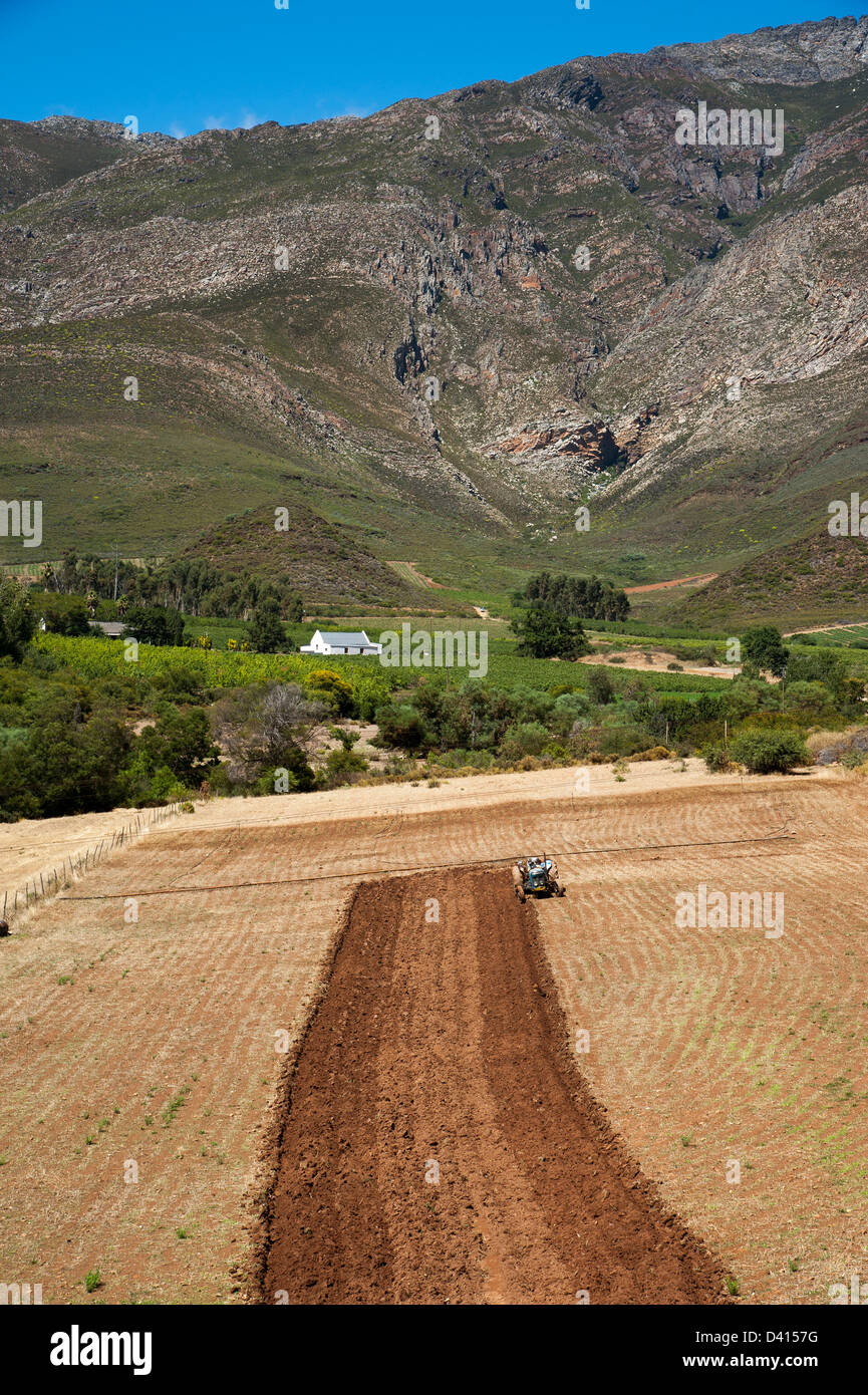 Settore Agricolo Sud Africa arando un campo vicino al Montagu Western Cape Foto Stock