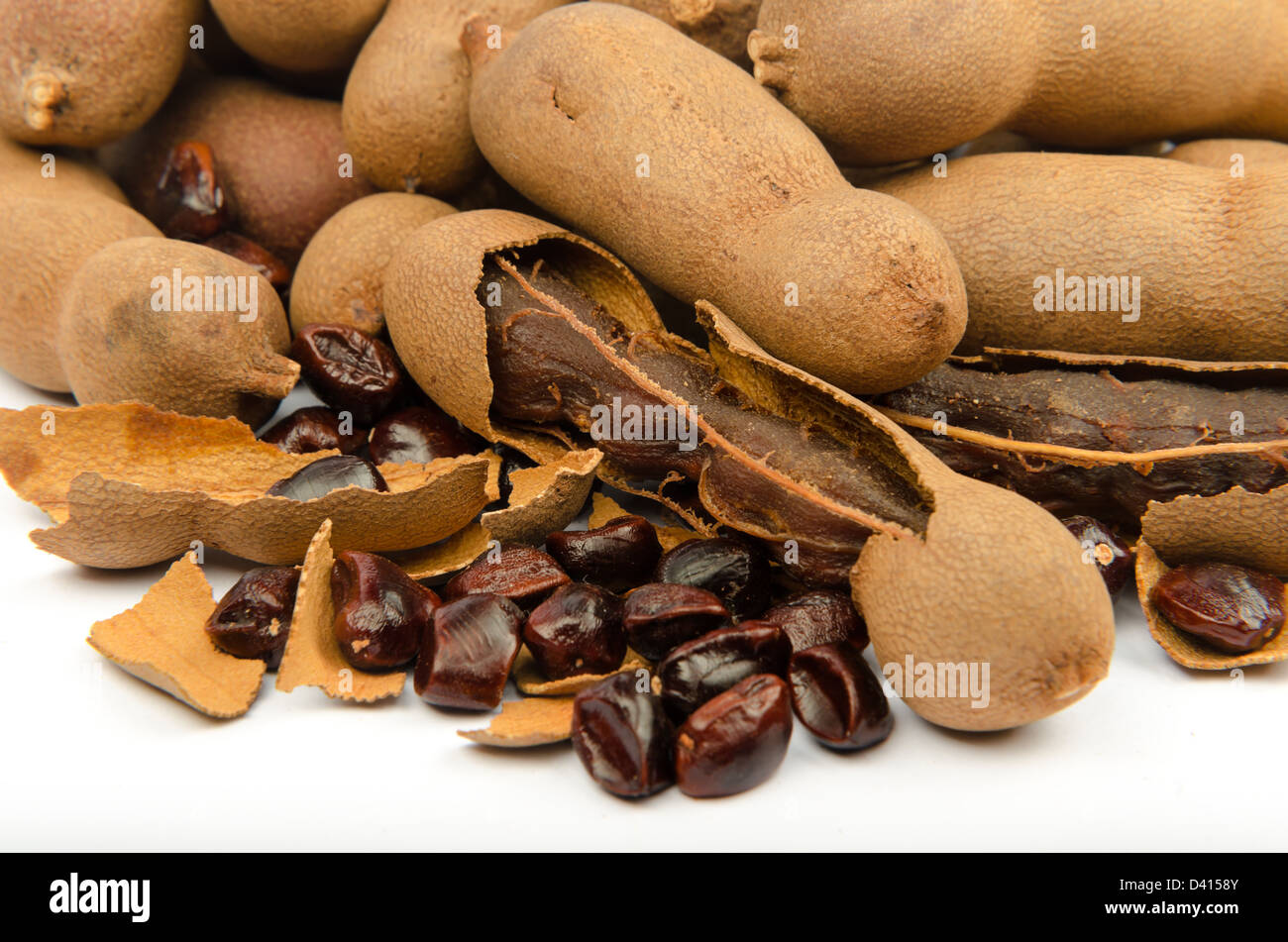 (Tamarindo Tamarindus indica), il famoso cibo del sud-est asiatico, Nord Africa, India Foto Stock