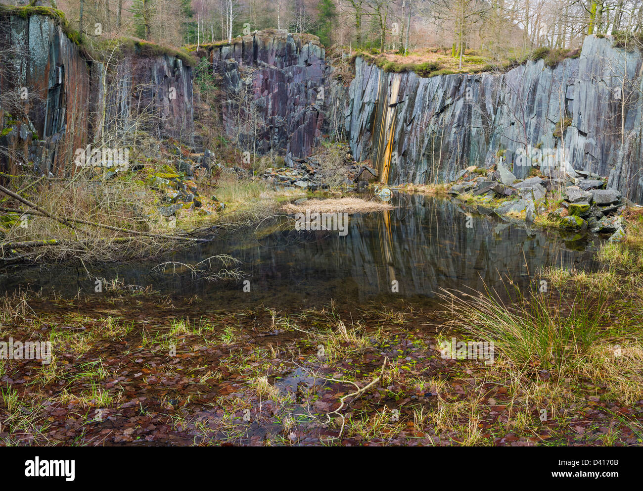 Vecchia cava in Dalt legno, Borrowdale, Cumbria, Lake District, England, Regno Unito Foto Stock