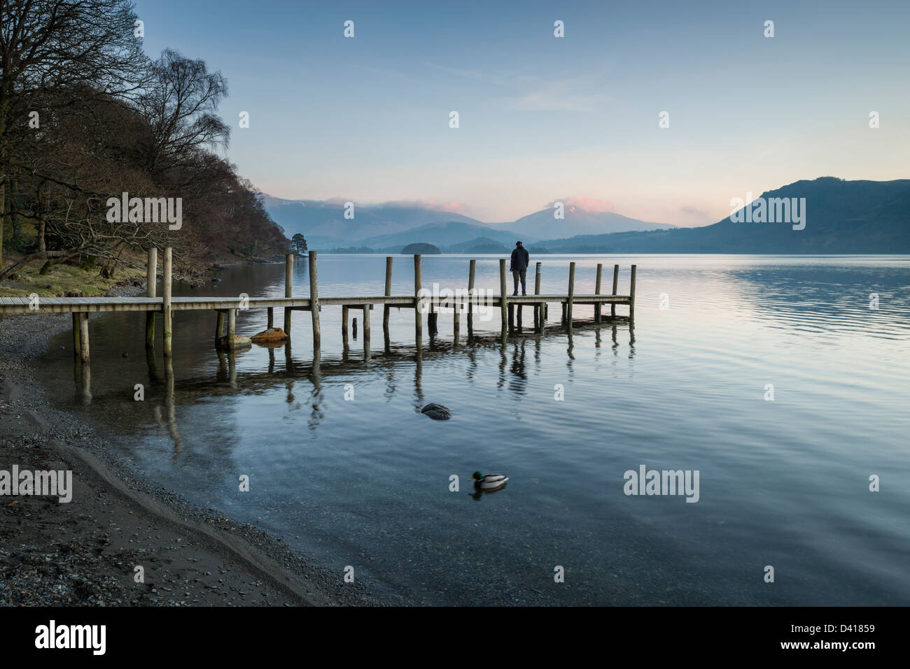 Alba al Molo Brandelhow, Derwent Water, Cumbria, Lake District, England, Regno Unito Foto Stock