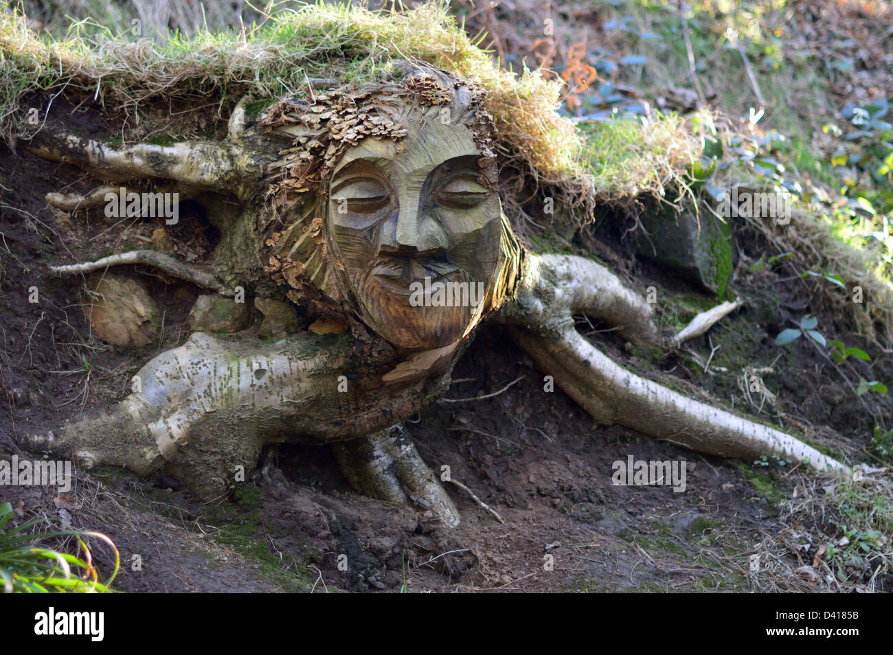 Sculture in legno - chainsaw arte da Steve Ireton in Errington boschi , Nuova Marske Foto Stock