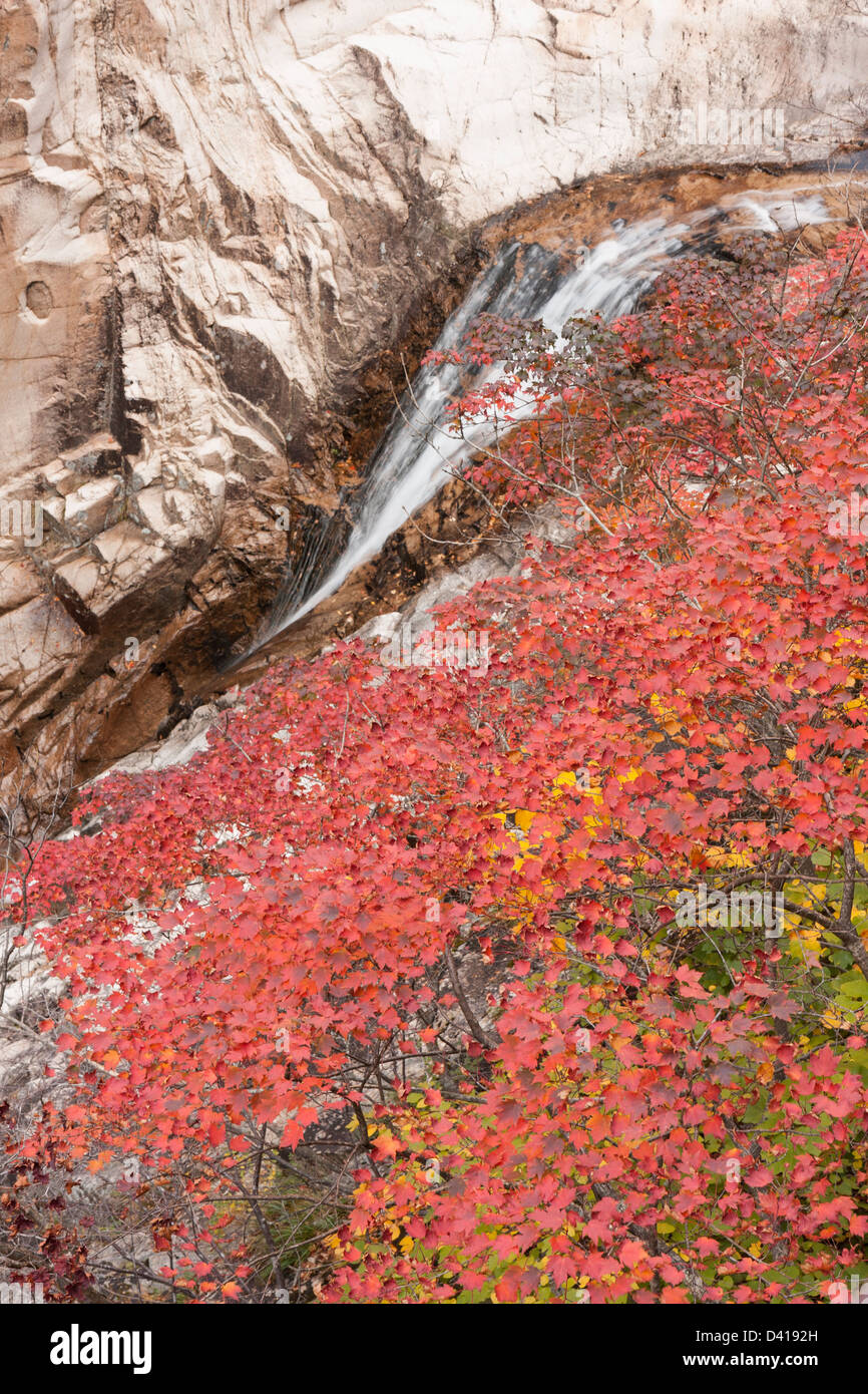 Cheonbul-dong valley stream e colori autunnali, Seoraksan National Park, Corea del Sud Foto Stock