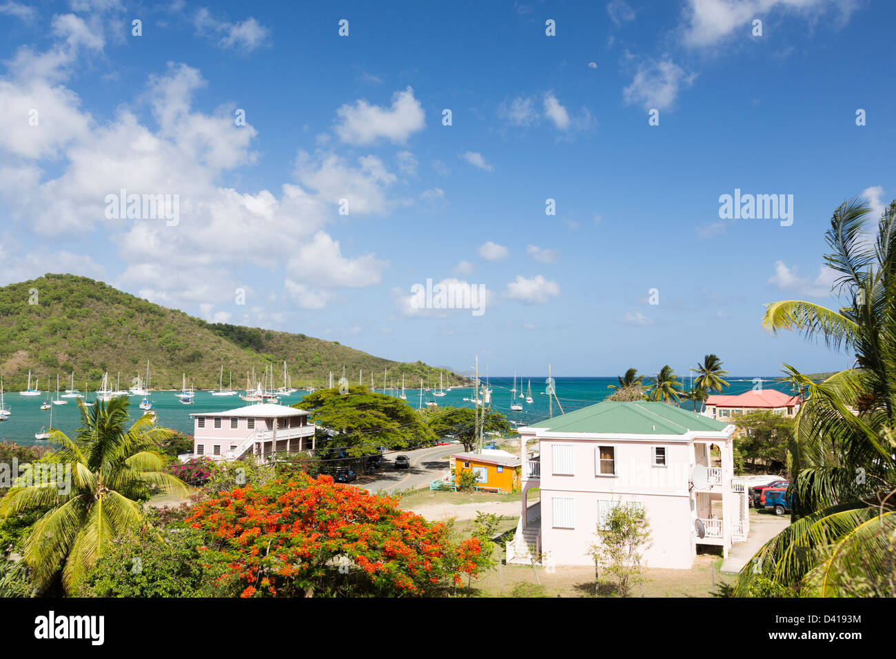 Coral Bay, San Giovanni, USVI Foto Stock