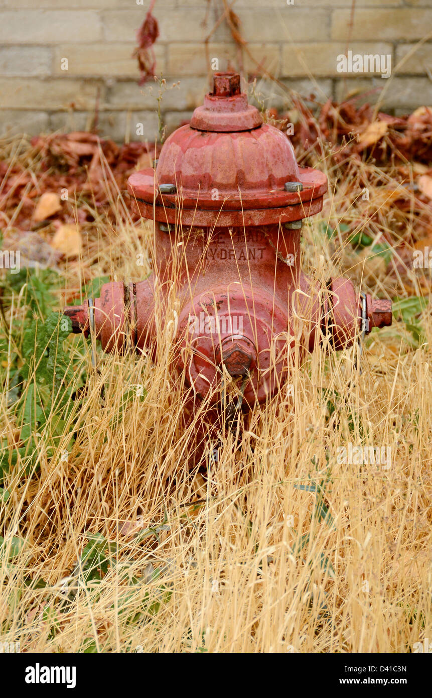 Idrante di fuoco piccione in King Hill, Idaho. Foto Stock