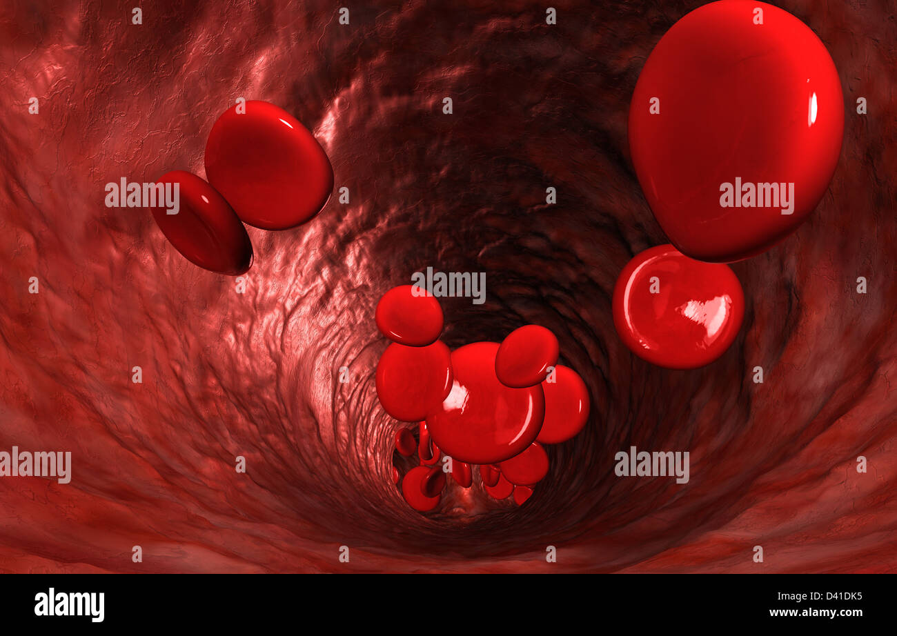 Una macro closeup di una vena di sangue con globuli rossi del sangue che fluisce attraverso di esso Foto Stock