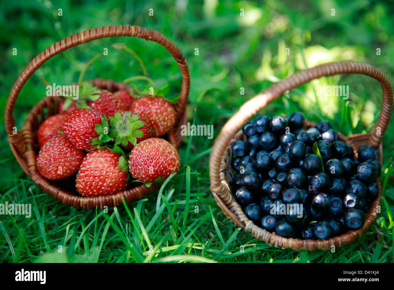 Due cestelli - fragole e mirtilli Foto Stock