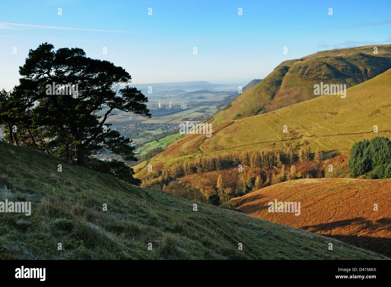 Guardando ad ovest dal legno Hill, lungo la scarpata sud dell'Ochils. Viste distanti di Wallace Monument e il Castello di Stirling Foto Stock Guardando ad ovest dal legno Hill, lungo la scarpata sud dell'Ochils. Viste distanti di Wallace Monument e il Castello di Stirling Foto Stock