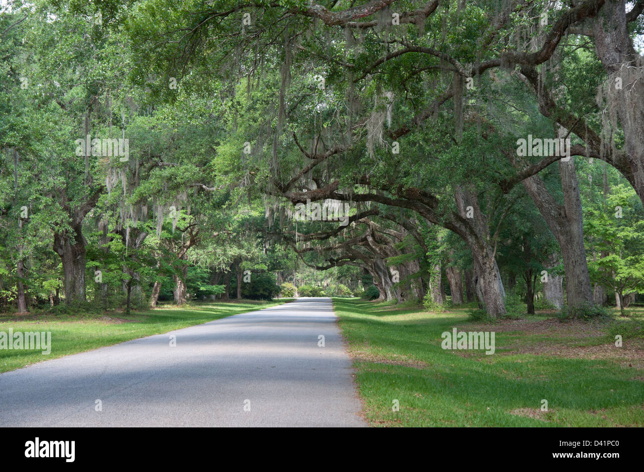 Mepkin Abbey è una comunità Cattolica Romana monaci Trappist-Cistercian situato sul fiume Cooper appena a nord di Charleston SC. Foto Stock