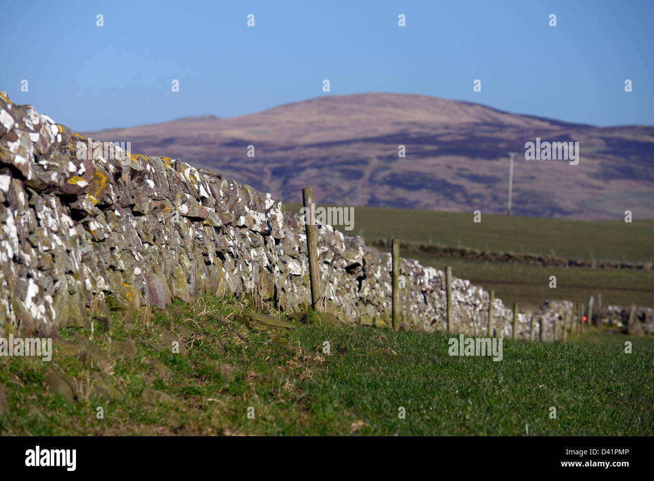 Muri in pietra a secco noto in Scozia come secco stane dighe, costruito senza uso di calcestruzzo o cemento. Muro di cinta in costa ovest. Foto Stock