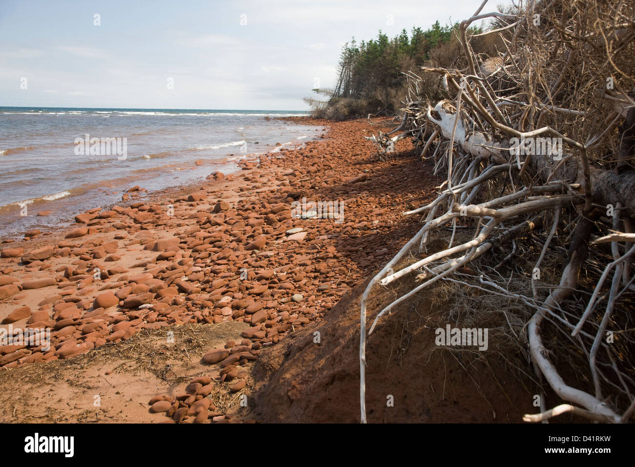 La spiaggia di Isola di Robinson sull'estremo ovest della Prince Edward Island National Park Foto Stock