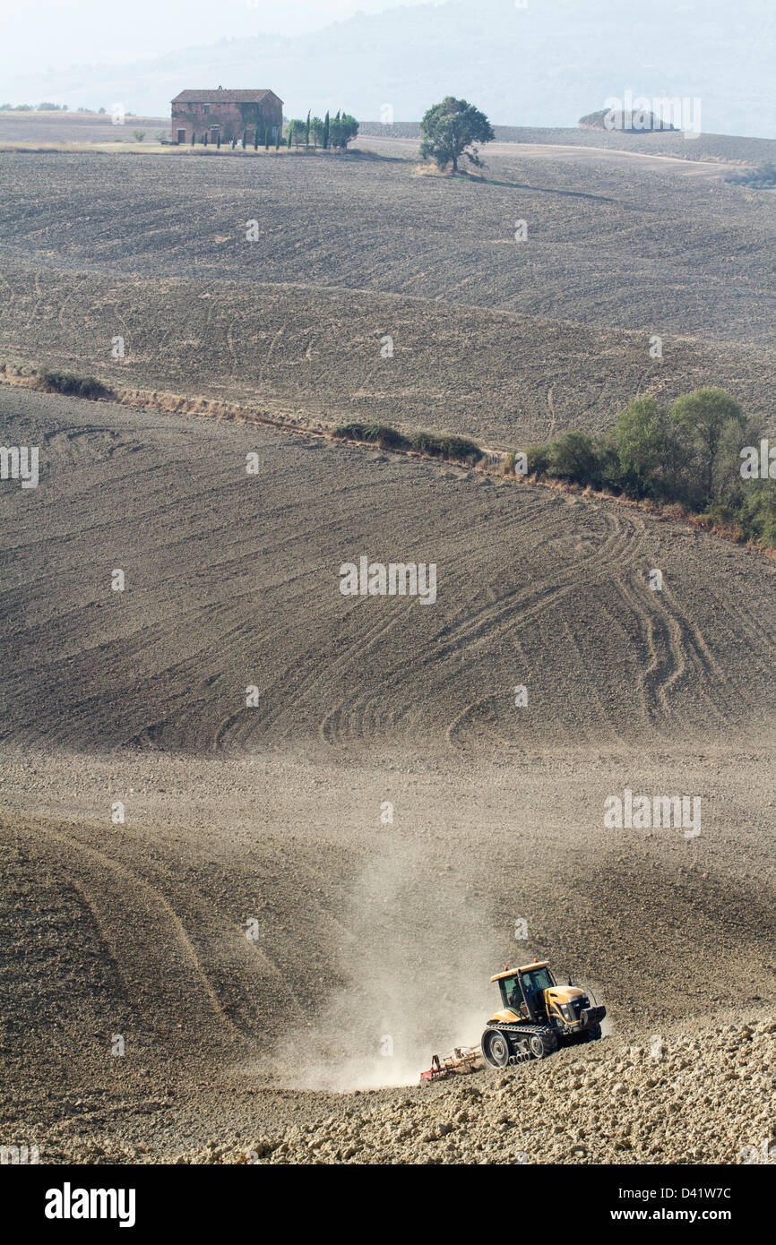 Il trattore straziante il campo nella val d'orcia, Toscana, Italia Foto Stock