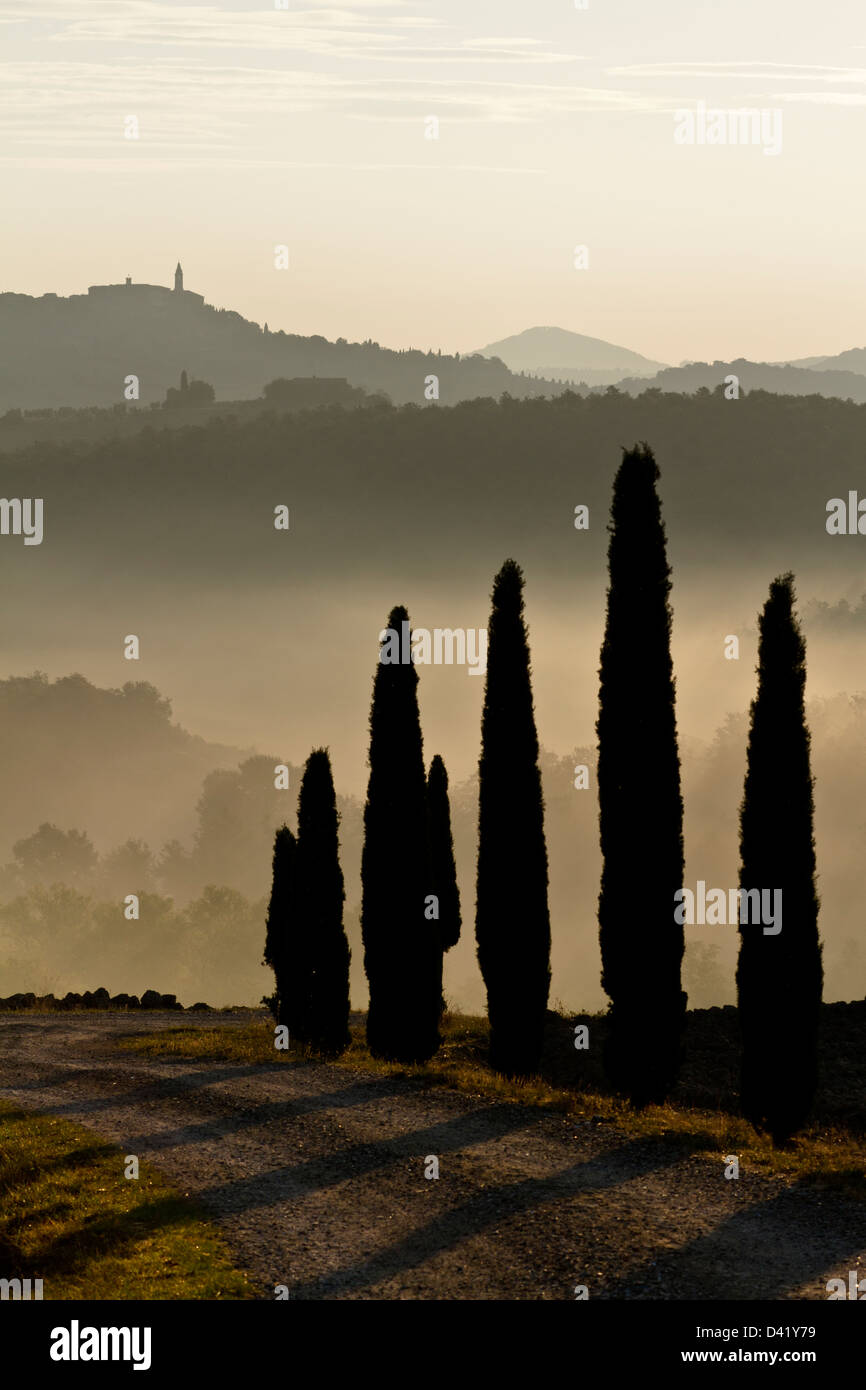 Il paesaggio toscano, val d'orcia, Toscana, Italia Foto Stock