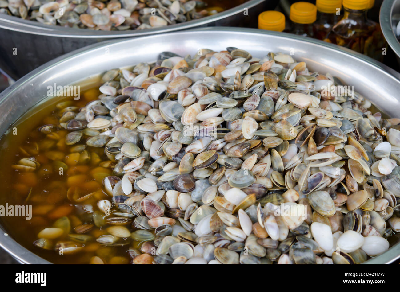 Decapati cuneo nastrati shell nel mercato Foto Stock