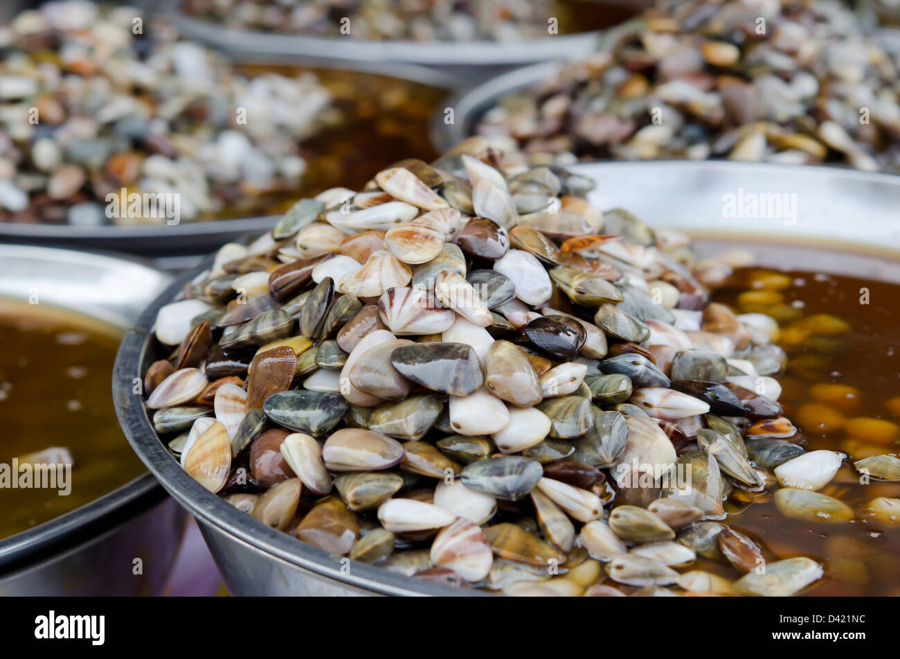 Conservate il rasoio clam per la vendita nel mercato della Thailandia Foto Stock