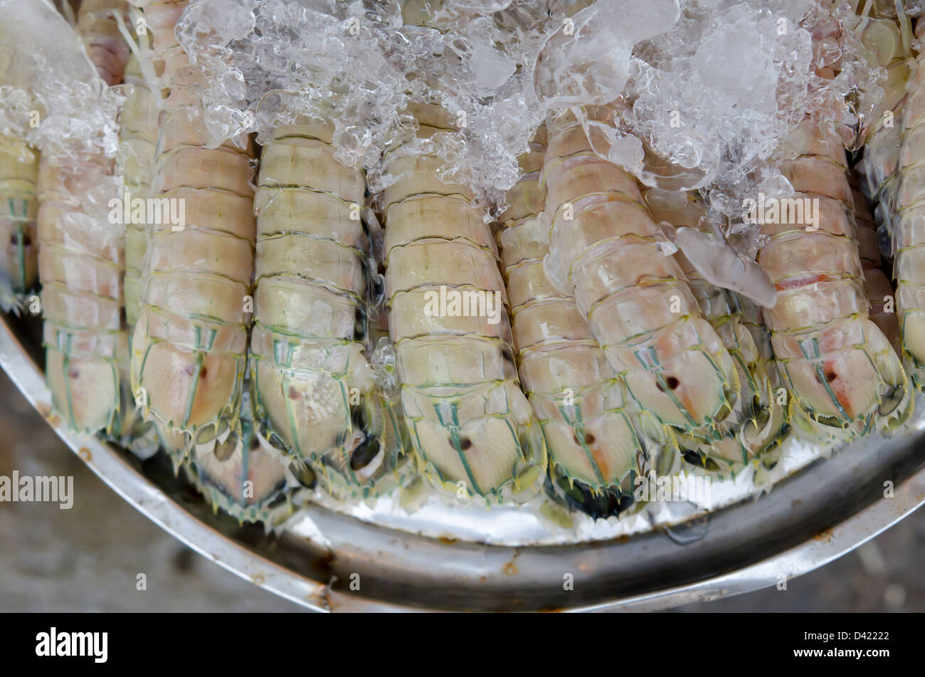 Canocchia con ghiaccio nel mercato per la vendita Foto Stock