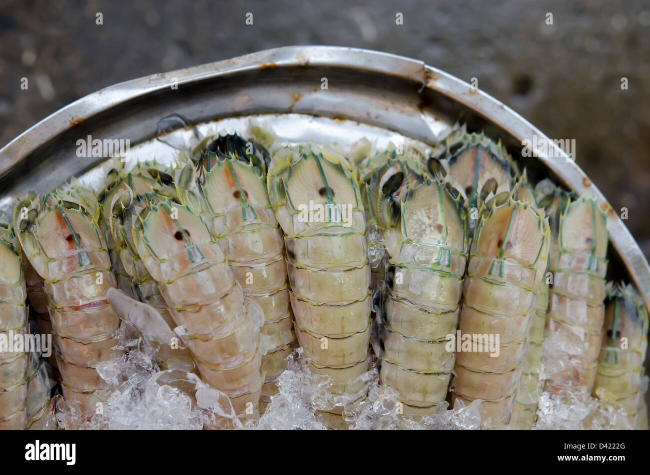 Canocchia con ghiaccio nel mercato dei prodotti freschi Foto Stock