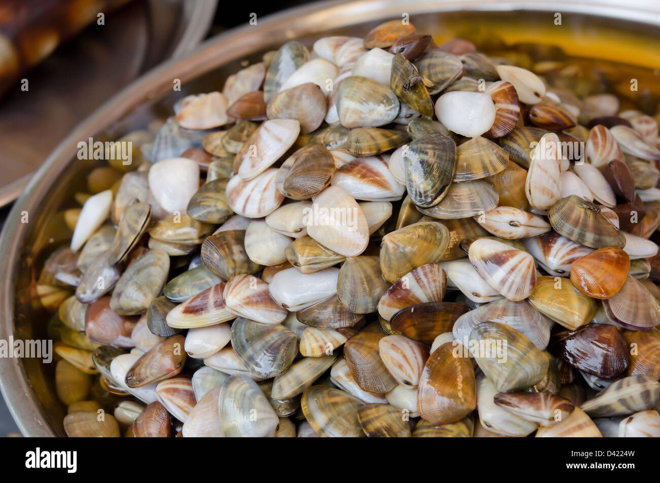 Conservate il rasoio clam per la vendita nel mercato della Thailandia Foto Stock