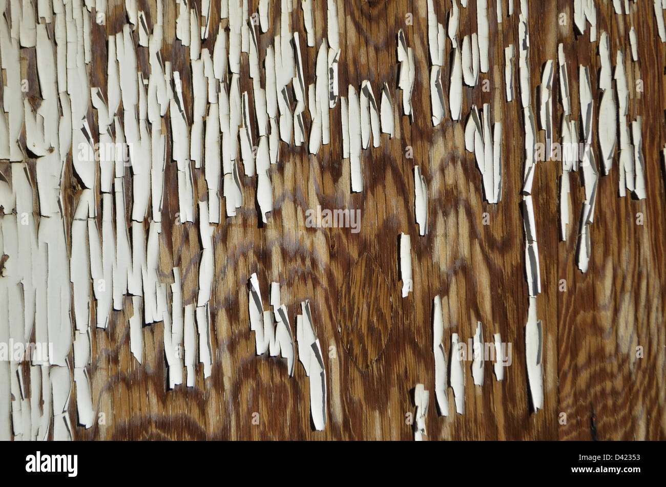 Addolorato vernice bianca su legno Foto Stock