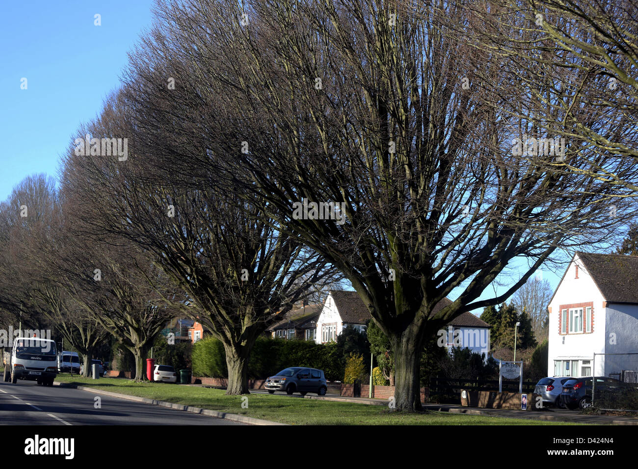 Alberi e case Oxford A40 Sunderland Avenue Inghilterra Foto Stock